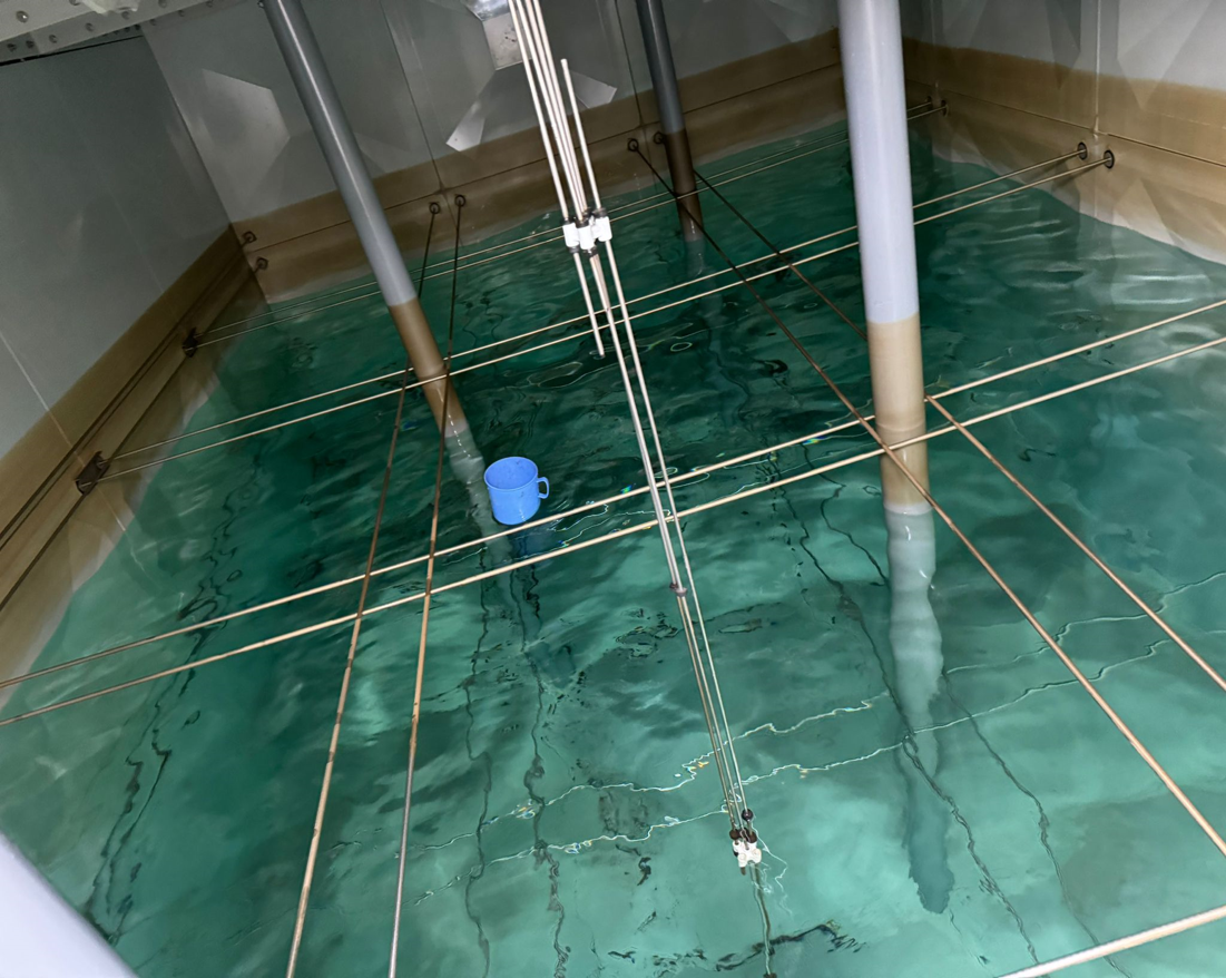 before-image-tank